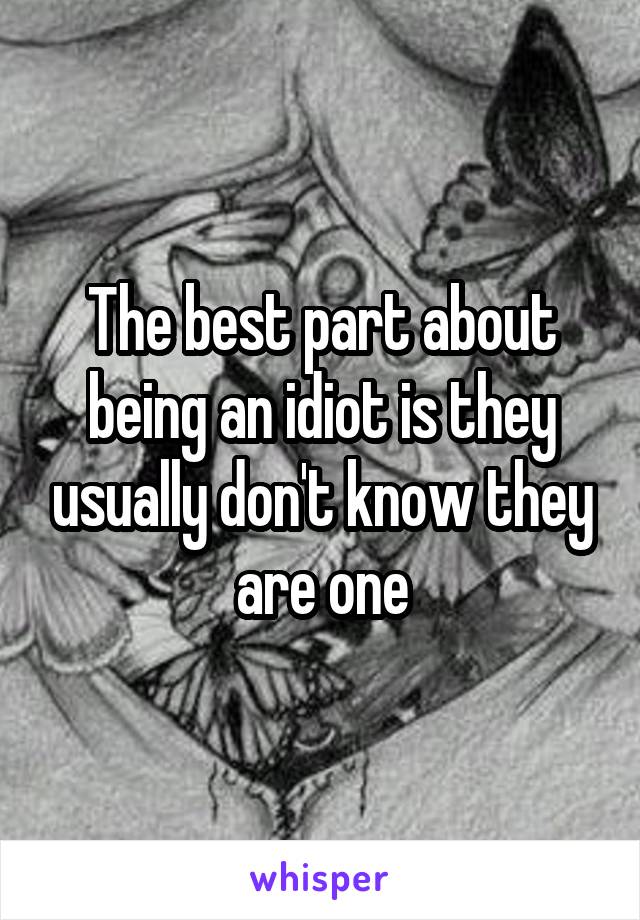 The best part about being an idiot is they usually don't know they are one