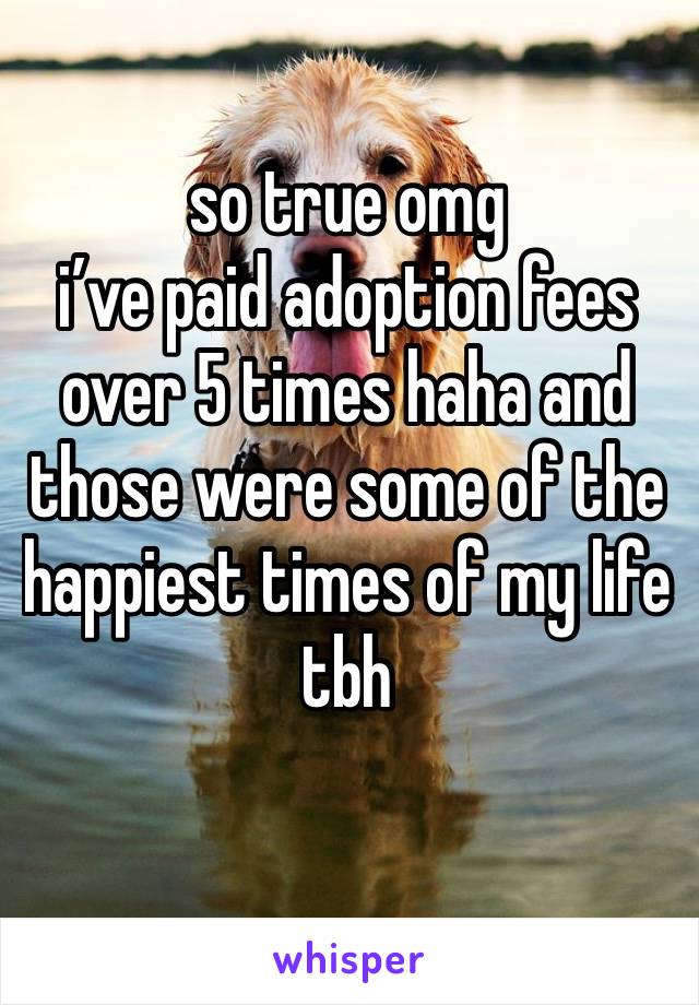 so true omg
i’ve paid adoption fees over 5 times haha and those were some of the happiest times of my life tbh