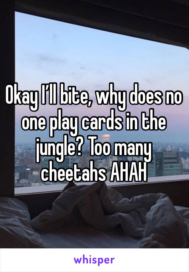 Okay I’ll bite, why does no one play cards in the jungle? Too many cheetahs AHAH