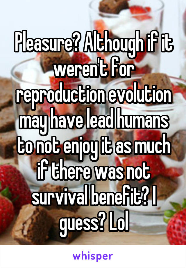 Pleasure? Although if it weren't for reproduction evolution may have lead humans to not enjoy it as much if there was not survival benefit? I guess? Lol