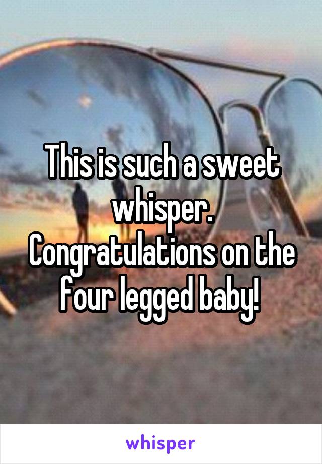 This is such a sweet whisper. Congratulations on the four legged baby! 