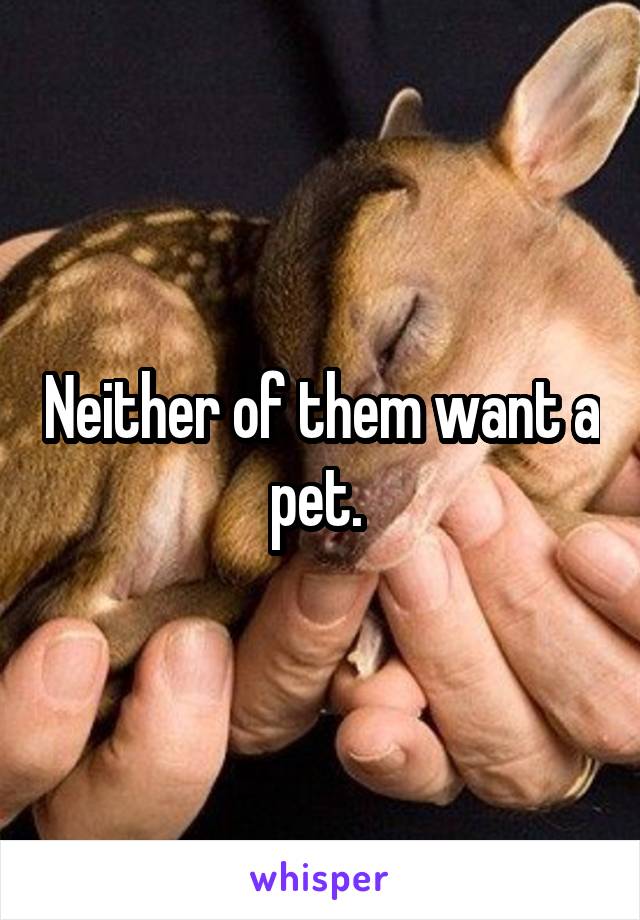 Neither of them want a pet. 