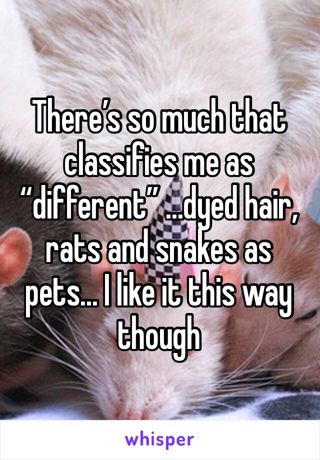 There’s so much that classifies me as “different” ...dyed hair, rats and snakes as pets... I like it this way though 