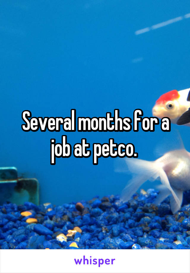 Several months for a job at petco. 