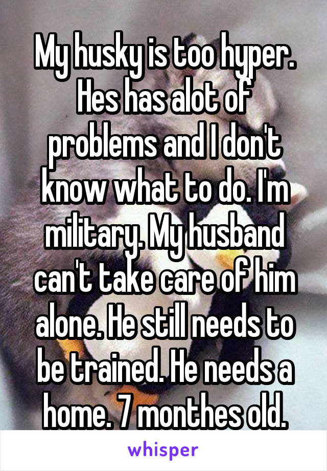 My husky is too hyper. Hes has alot of problems and I don't know what to do. I'm military. My husband can't take care of him alone. He still needs to be trained. He needs a home. 7 monthes old.