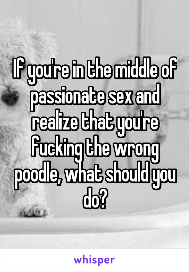 If you're in the middle of passionate sex and realize that you're fucking the wrong poodle, what should you do?