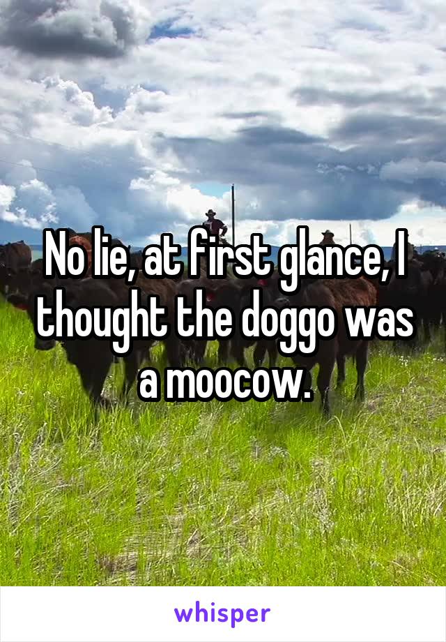 No lie, at first glance, I thought the doggo was a moocow.