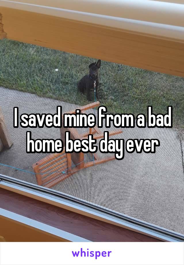 I saved mine from a bad home best day ever