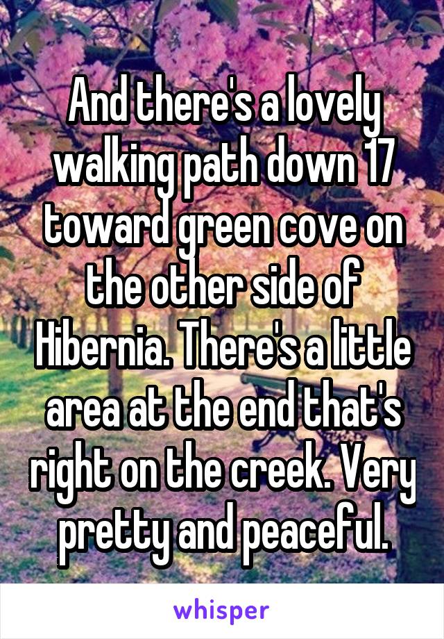 And there's a lovely walking path down 17 toward green cove on the other side of Hibernia. There's a little area at the end that's right on the creek. Very pretty and peaceful.