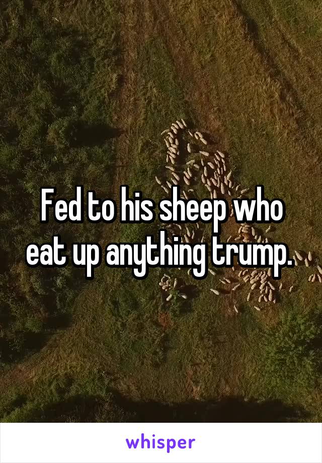 Fed to his sheep who eat up anything trump. 