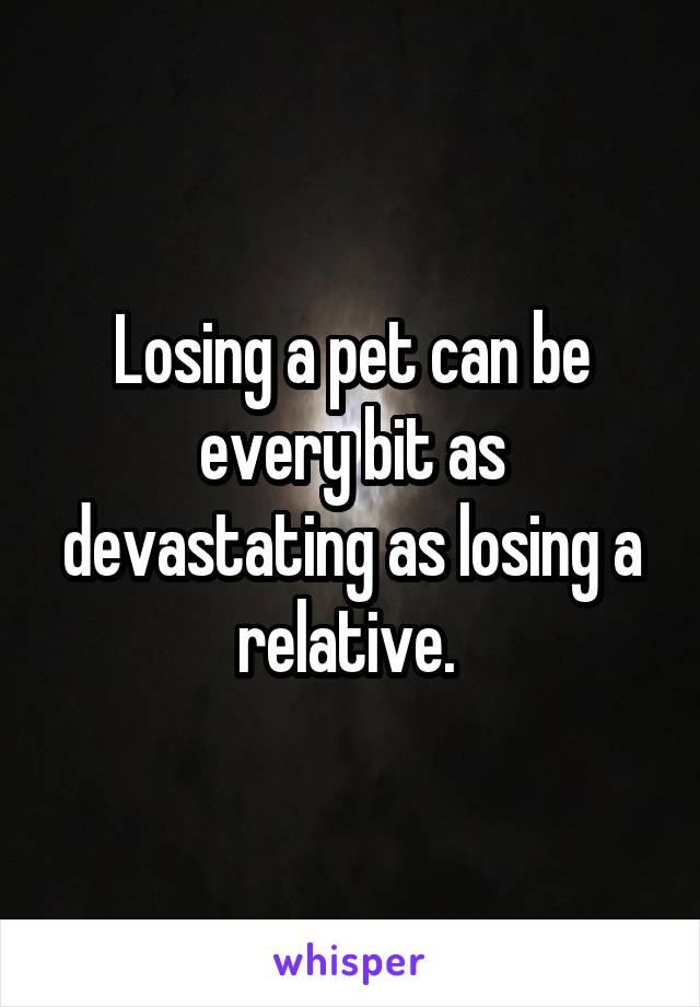 Losing a pet can be every bit as devastating as losing a relative. 