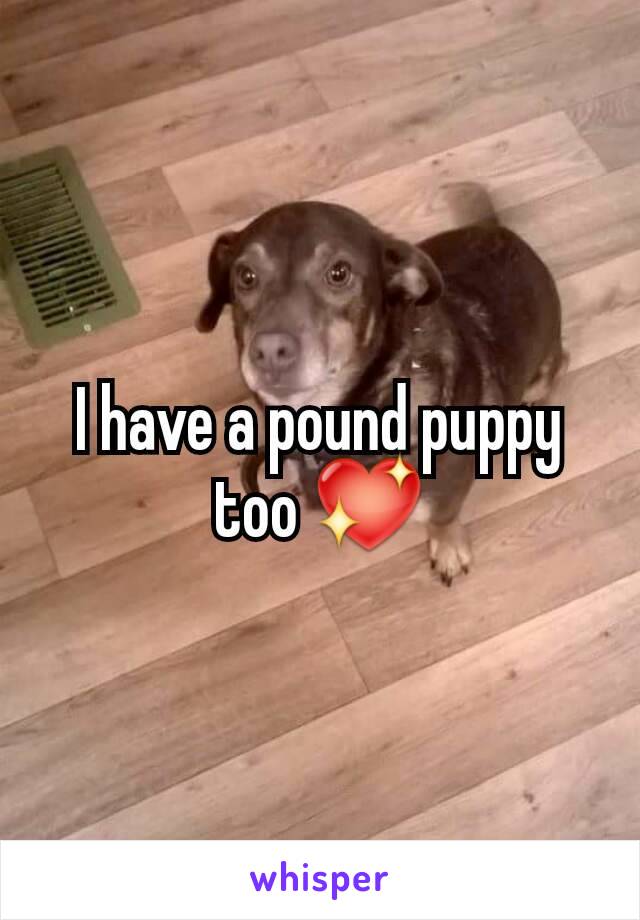 I have a pound puppy too 💖