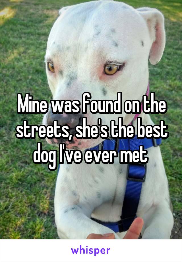 Mine was found on the streets, she's the best dog I've ever met 