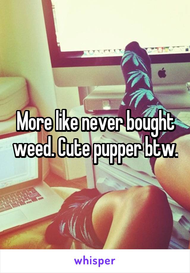More like never bought weed. Cute pupper btw.
