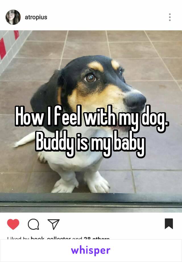 How I feel with my dog. Buddy is my baby 
