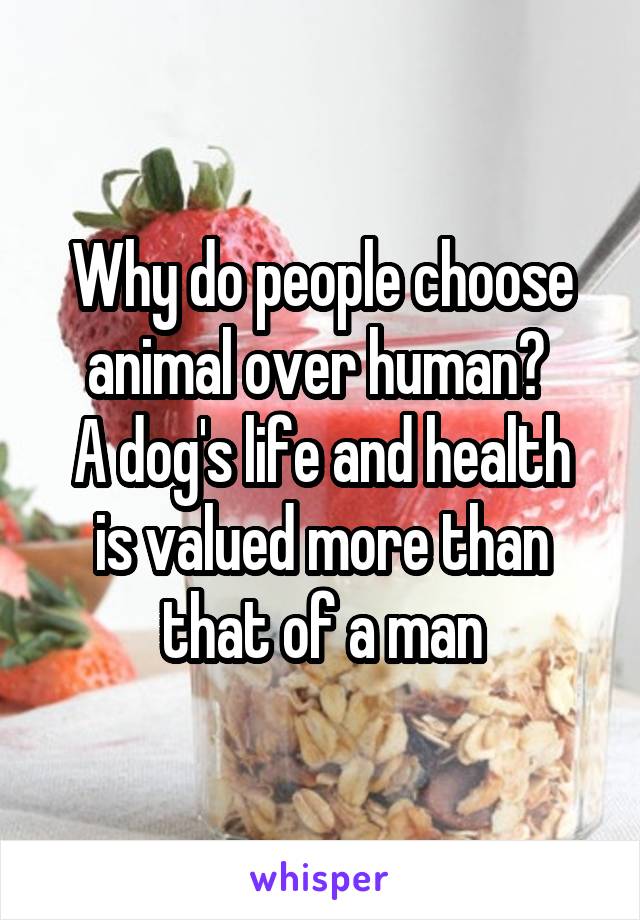 Why do people choose animal over human? 
A dog's life and health is valued more than that of a man