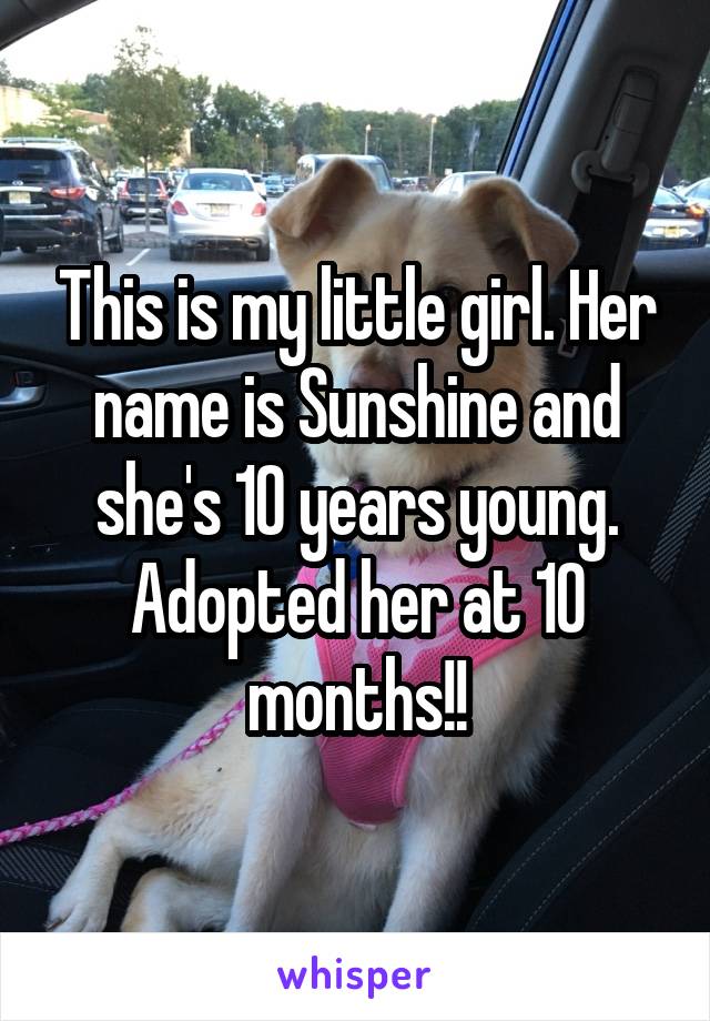 This is my little girl. Her name is Sunshine and she's 10 years young. Adopted her at 10 months!!