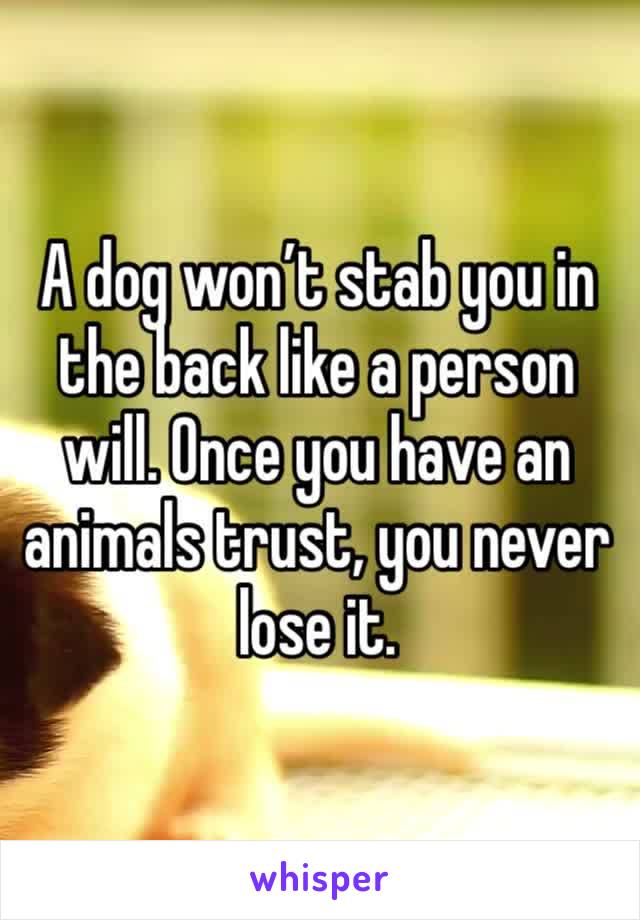 A dog won’t stab you in the back like a person will. Once you have an animals trust, you never lose it. 