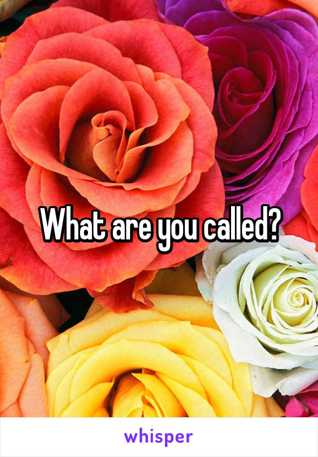 What are you called?