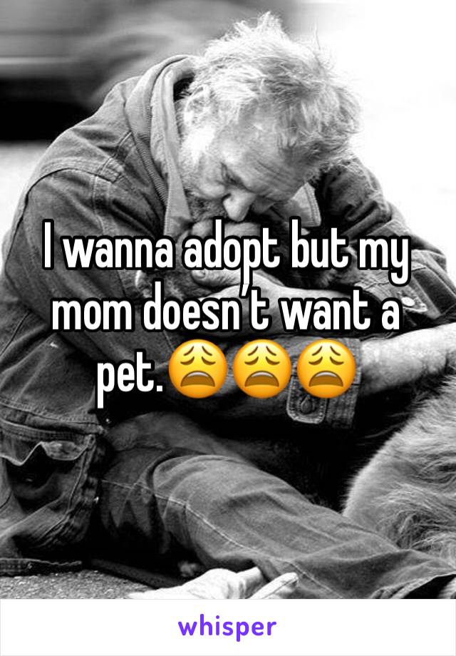 I wanna adopt but my mom doesn’t want a pet.😩😩😩