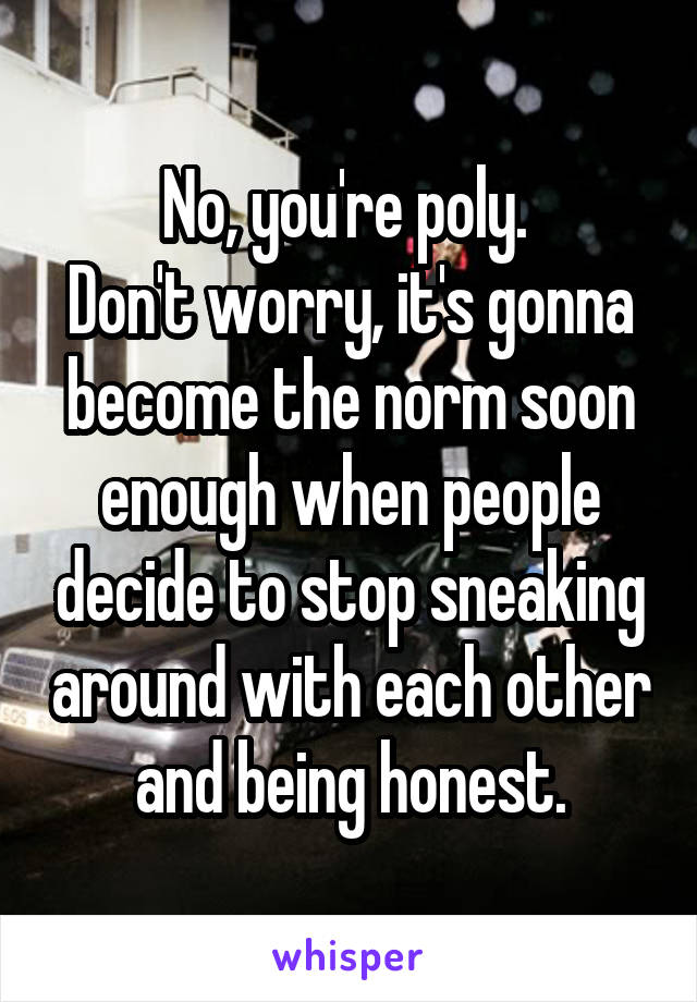 No, you're poly. 
Don't worry, it's gonna become the norm soon enough when people decide to stop sneaking around with each other and being honest.