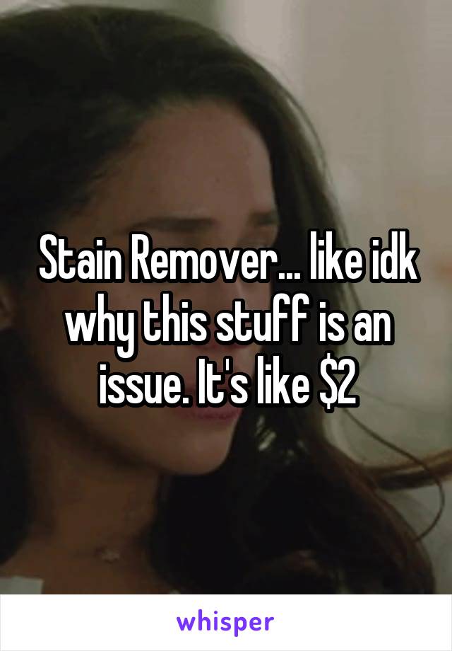 Stain Remover... like idk why this stuff is an issue. It's like $2
