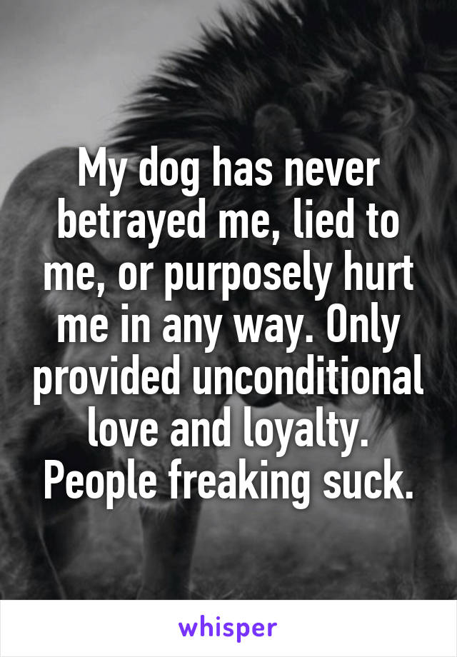 My dog has never betrayed me, lied to me, or purposely hurt me in any way. Only provided unconditional love and loyalty. People freaking suck.