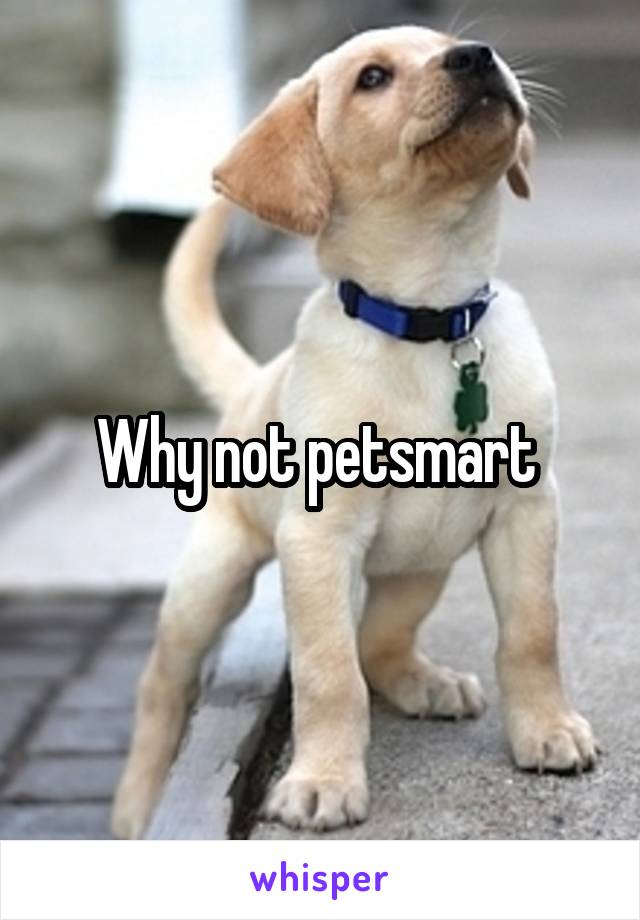 Why not petsmart 