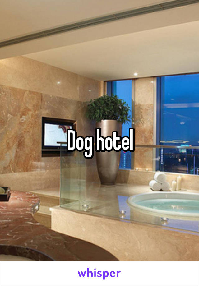 Dog hotel