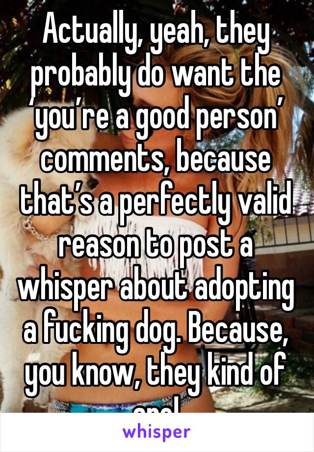 Actually, yeah, they probably do want the ‘you’re a good person’ comments, because that’s a perfectly valid reason to post a whisper about adopting a fucking dog. Because, you know, they kind of are!