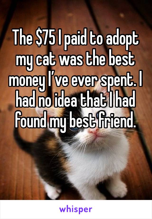 The $75 I paid to adopt my cat was the best money I’ve ever spent. I had no idea that I had found my best friend. 