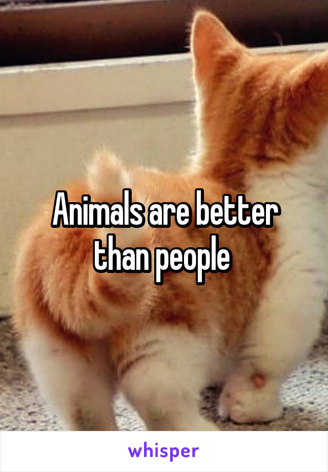 Animals are better than people 