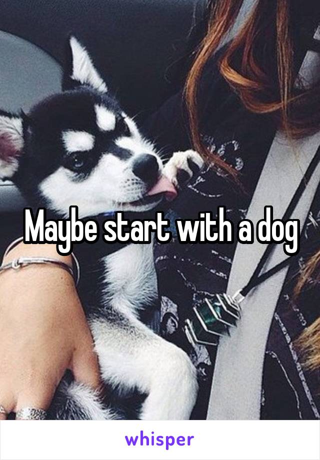 Maybe start with a dog