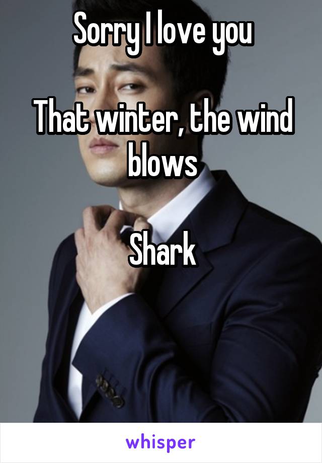 Sorry I love you

That winter, the wind blows

Shark



