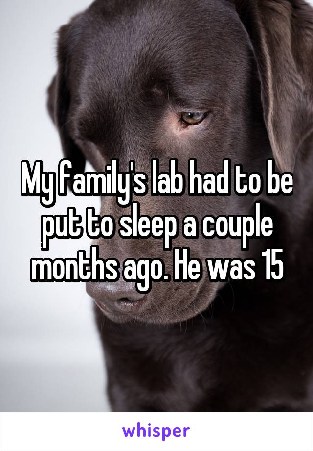 My family's lab had to be put to sleep a couple months ago. He was 15