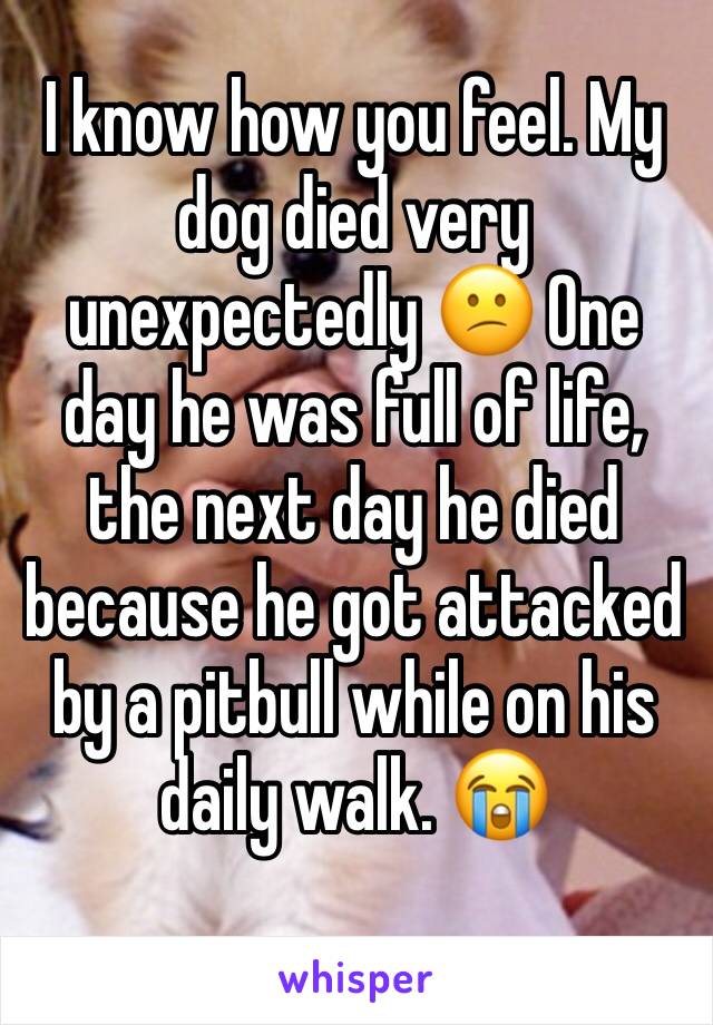 I know how you feel. My dog died very unexpectedly 😕 One day he was full of life, the next day he died because he got attacked by a pitbull while on his daily walk. 😭