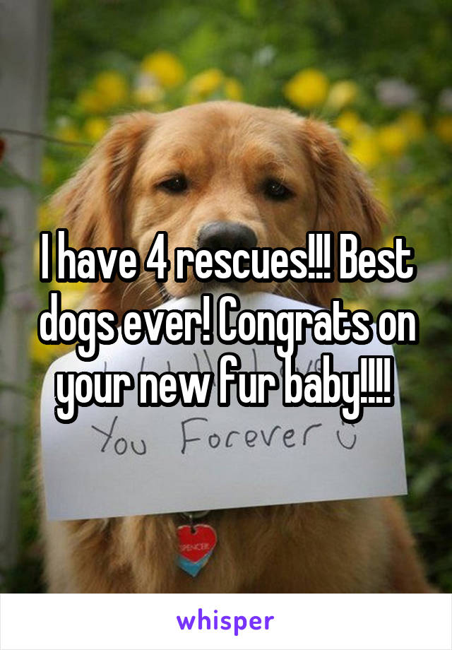 I have 4 rescues!!! Best dogs ever! Congrats on your new fur baby!!!! 
