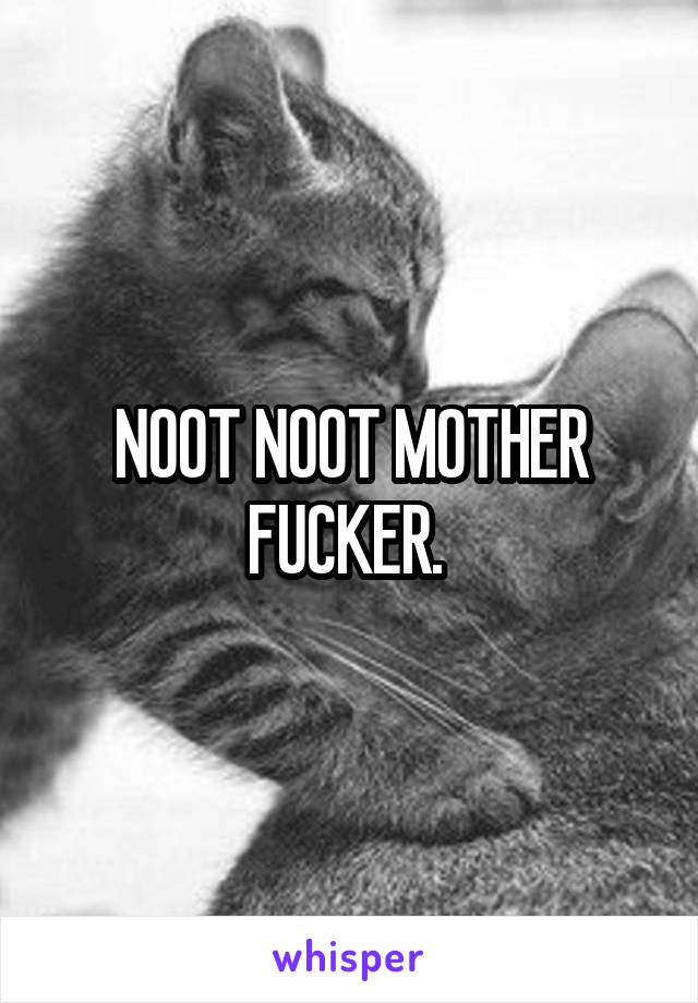 NOOT NOOT MOTHER FUCKER. 