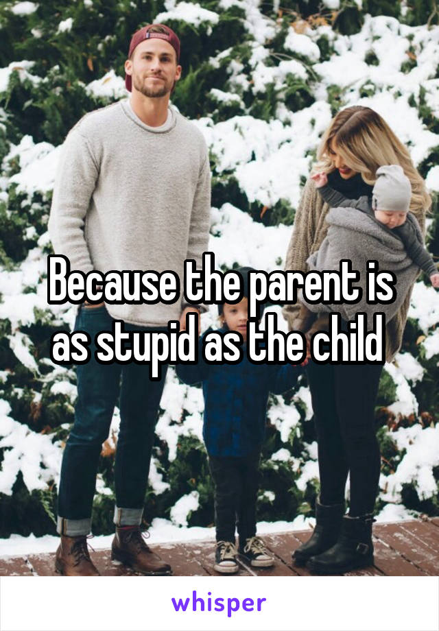 Because the parent is as stupid as the child 