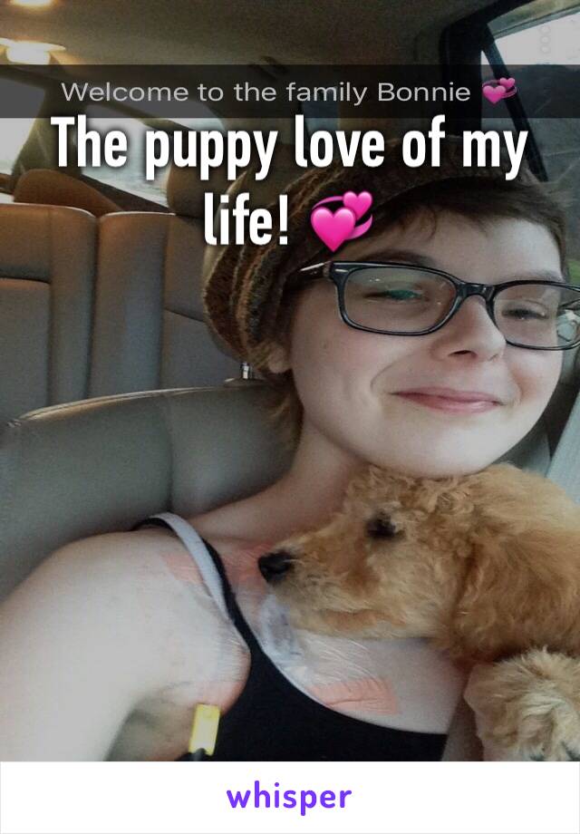 The puppy love of my life! 💞