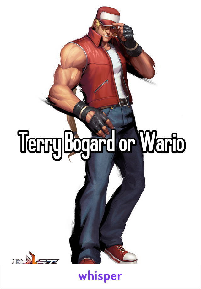 Terry Bogard or Wario