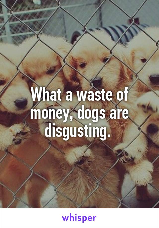What a waste of money, dogs are disgusting. 