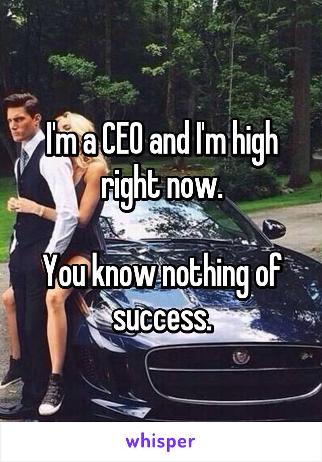I'm a CEO and I'm high right now.

You know nothing of success.