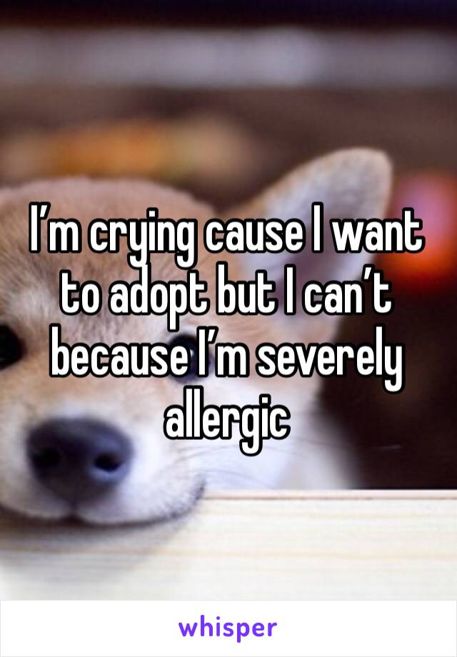 I’m crying cause I want to adopt but I can’t because I’m severely allergic 