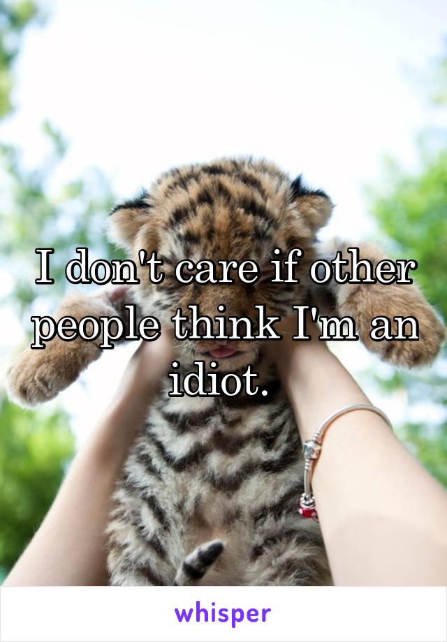 I don't care if other people think I'm an idiot. 