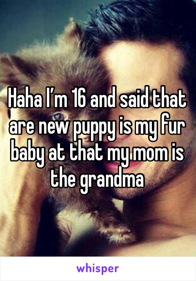Haha I’m 16 and said that are new puppy is my fur baby at that my mom is the grandma 