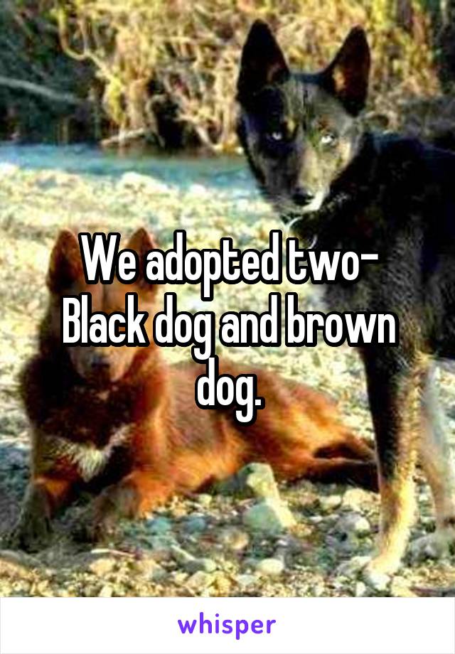 We adopted two-
Black dog and brown dog.
