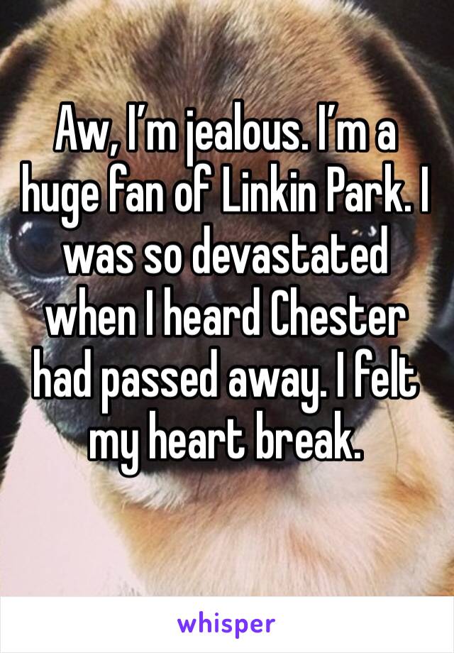 Aw, I’m jealous. I’m a huge fan of Linkin Park. I was so devastated when I heard Chester had passed away. I felt my heart break. 