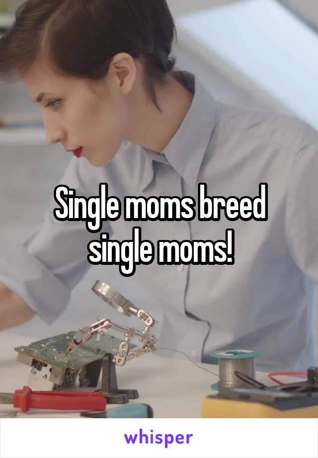 Single moms breed single moms!