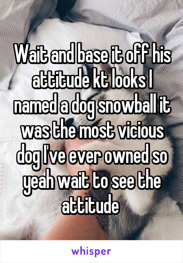 Wait and base it off his attitude kt looks I named a dog snowball it was the most vicious dog I've ever owned so yeah wait to see the attitude 